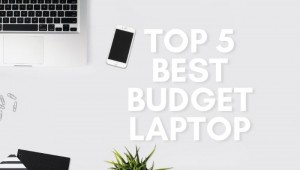 blog & article